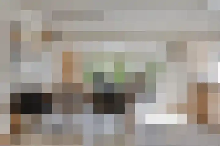 Vlasweel 64 Terheijden thumbnail 11