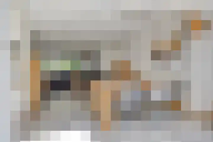 Vlasweel 64 Terheijden thumbnail 12