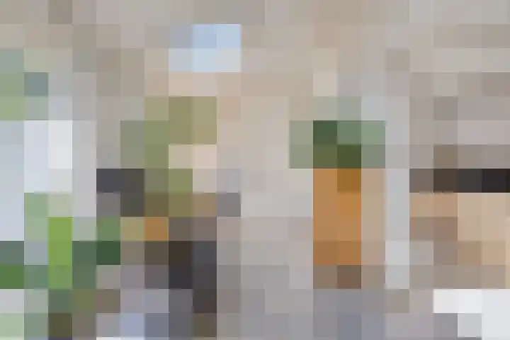 Vlasweel 64 Terheijden thumbnail 13
