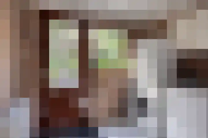 Vlasweel 64 Terheijden thumbnail 16