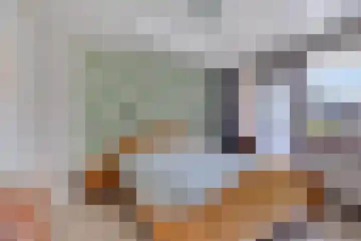 Vlasweel 64 Terheijden thumbnail 20
