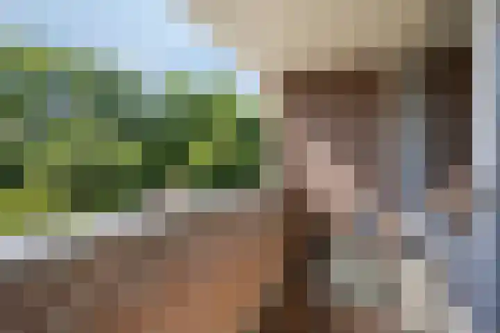 Vlasweel 64 Terheijden thumbnail 22
