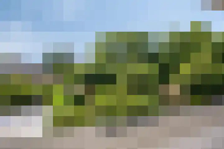 Vlasweel 64 Terheijden thumbnail 23