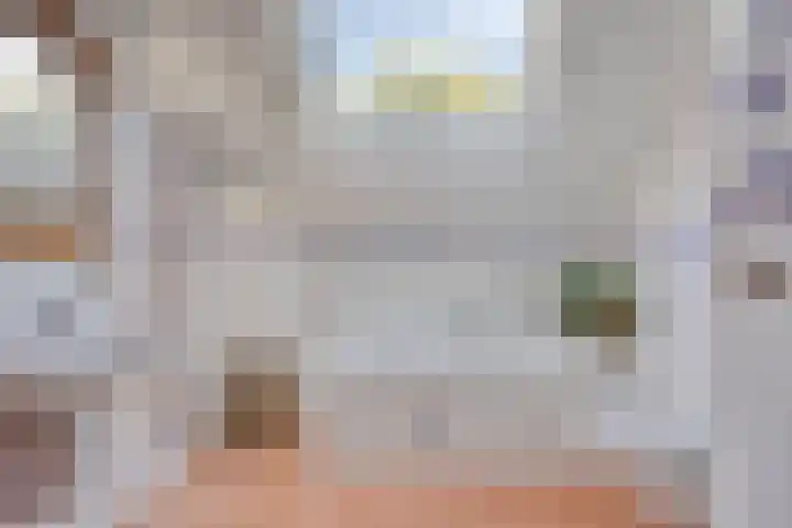 Vlasweel 64 Terheijden thumbnail 24