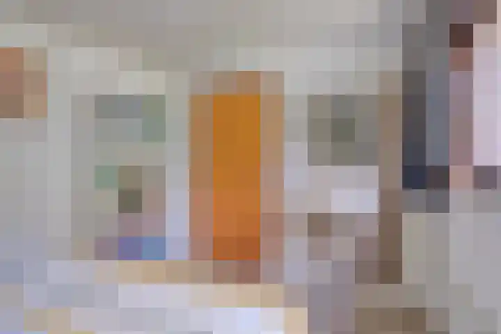 Vlasweel 64 Terheijden thumbnail 26