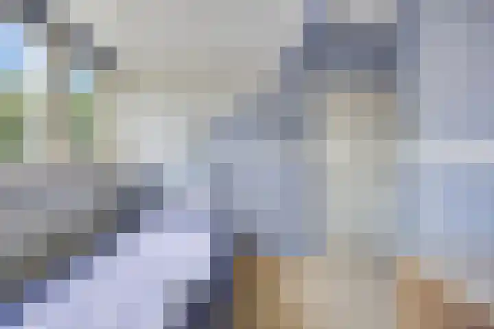 Vlasweel 64 Terheijden thumbnail 33