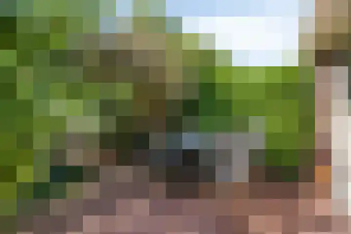 Vlasweel 64 Terheijden thumbnail 35