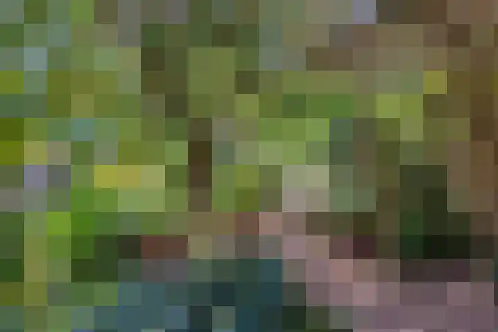 Vlasweel 64 Terheijden thumbnail 36