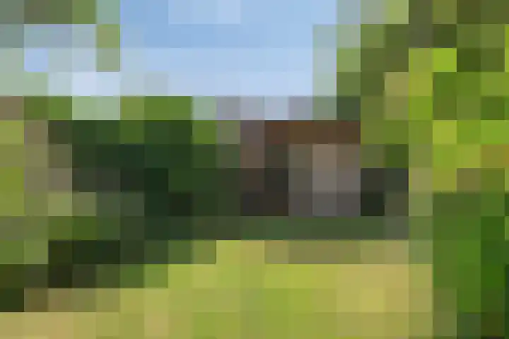 Vlasweel 64 Terheijden thumbnail 37