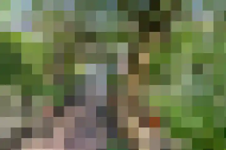 Vlasweel 64 Terheijden thumbnail 38