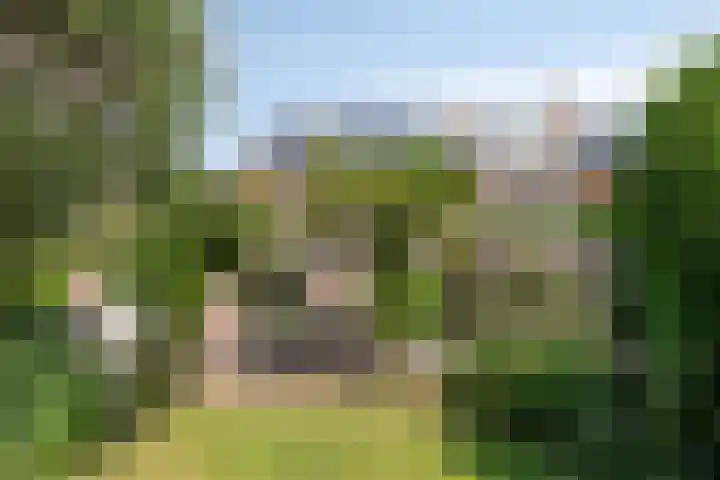 Vlasweel 64 Terheijden thumbnail 39