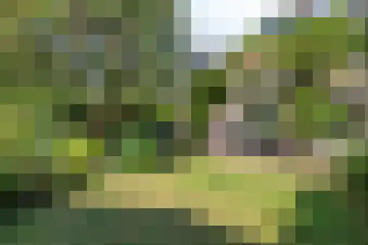 Vlasweel 64 Terheijden thumbnail 5