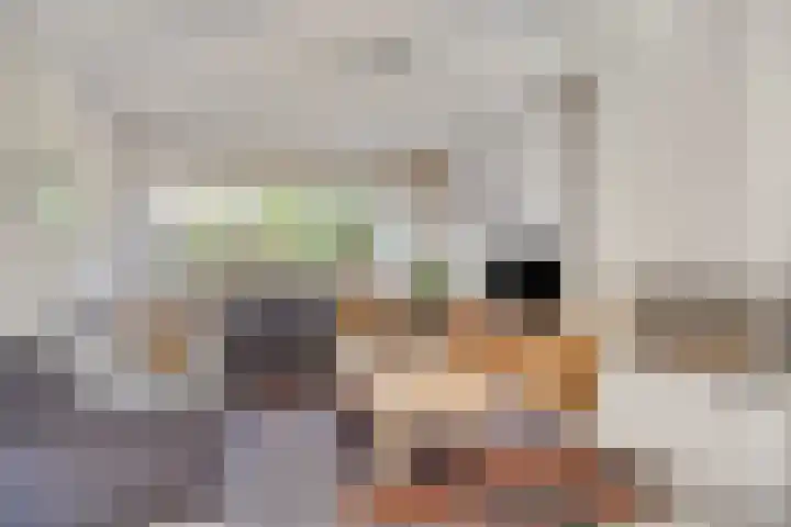 Vlasweel 64 Terheijden thumbnail 9