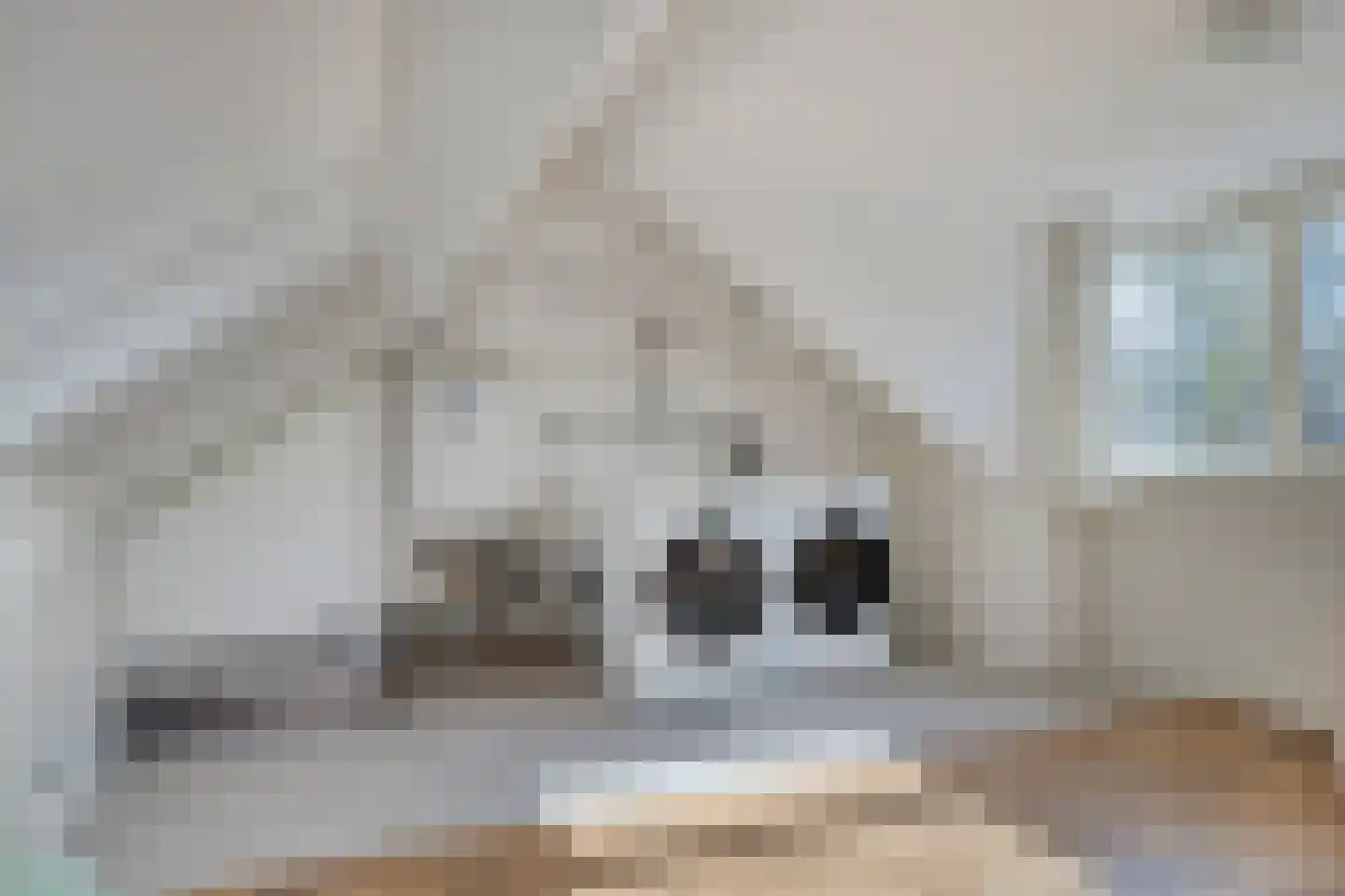 Vlasweel 7 Terheijden thumbnail 25