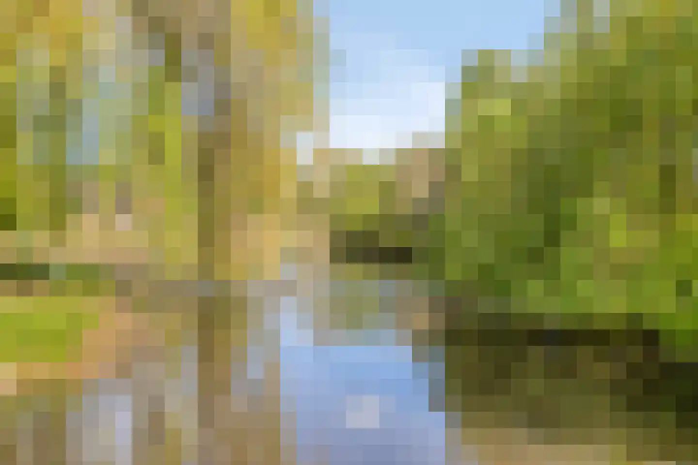 Vlasweel 7 Terheijden thumbnail 31
