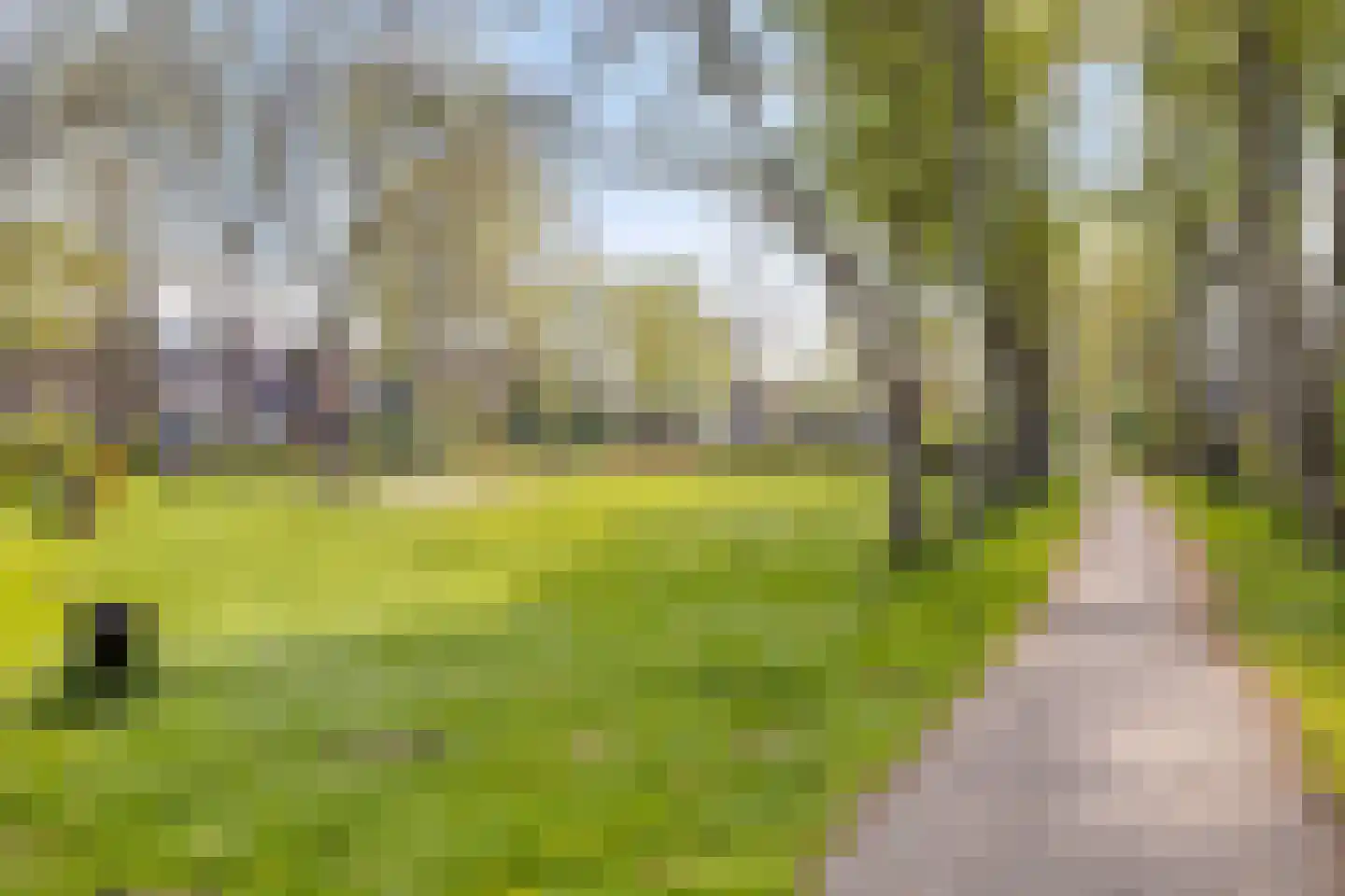 Vlasweel 7 Terheijden thumbnail 32