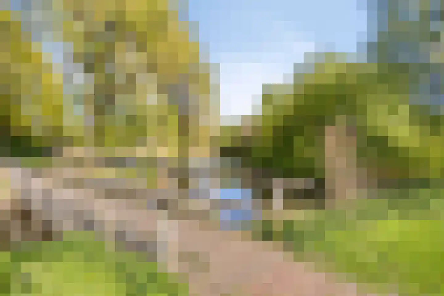 Vlasweel 7 Terheijden thumbnail 5