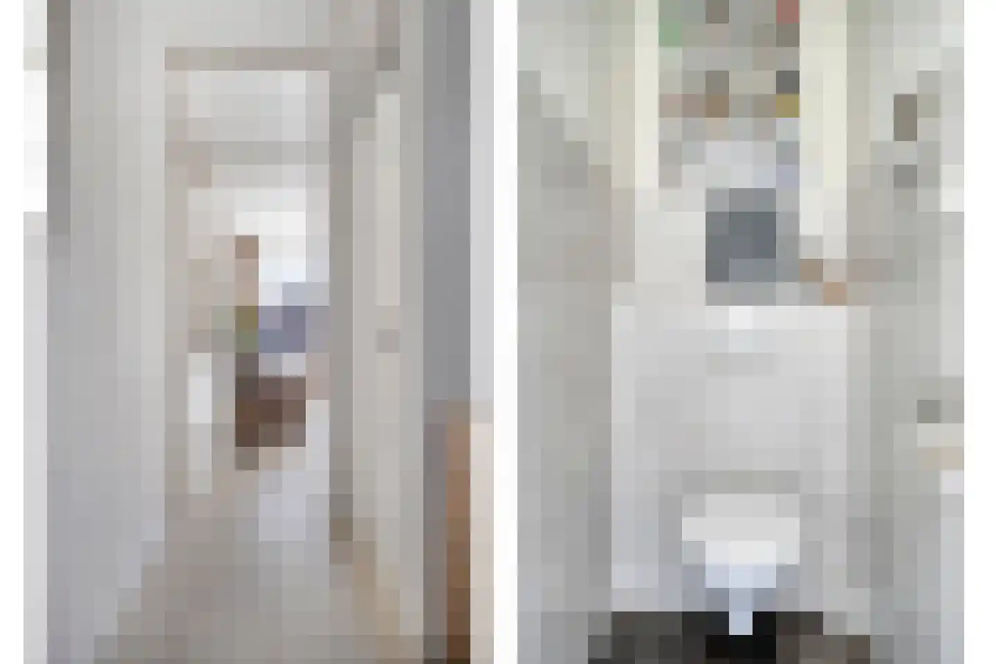 Vlasweel 7 Terheijden thumbnail 7