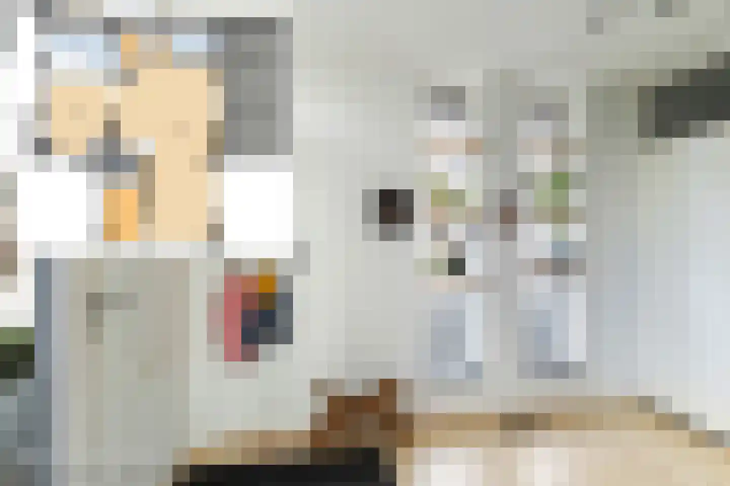 Vlasweel 72 Terheijden thumbnail 10