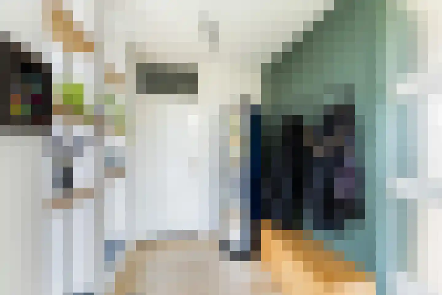 Vlasweel 72 Terheijden thumbnail 11