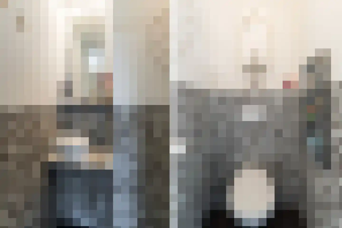 Vlasweel 72 Terheijden thumbnail 12