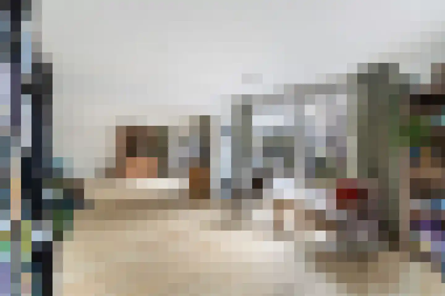Vlasweel 72 Terheijden thumbnail 16