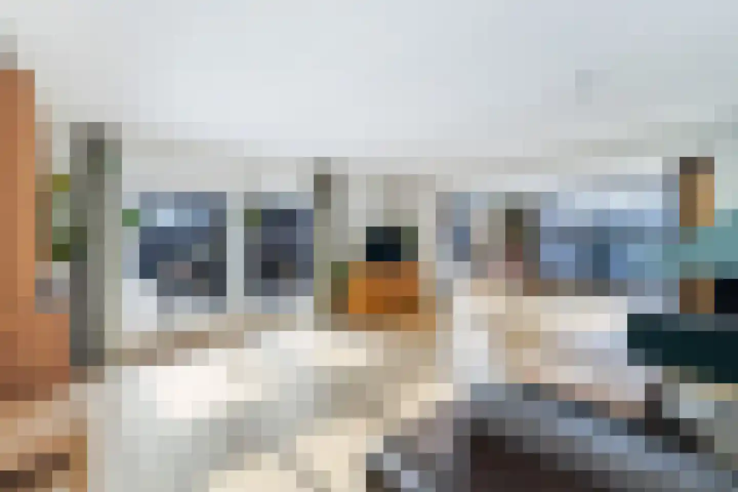 Vlasweel 72 Terheijden thumbnail 21
