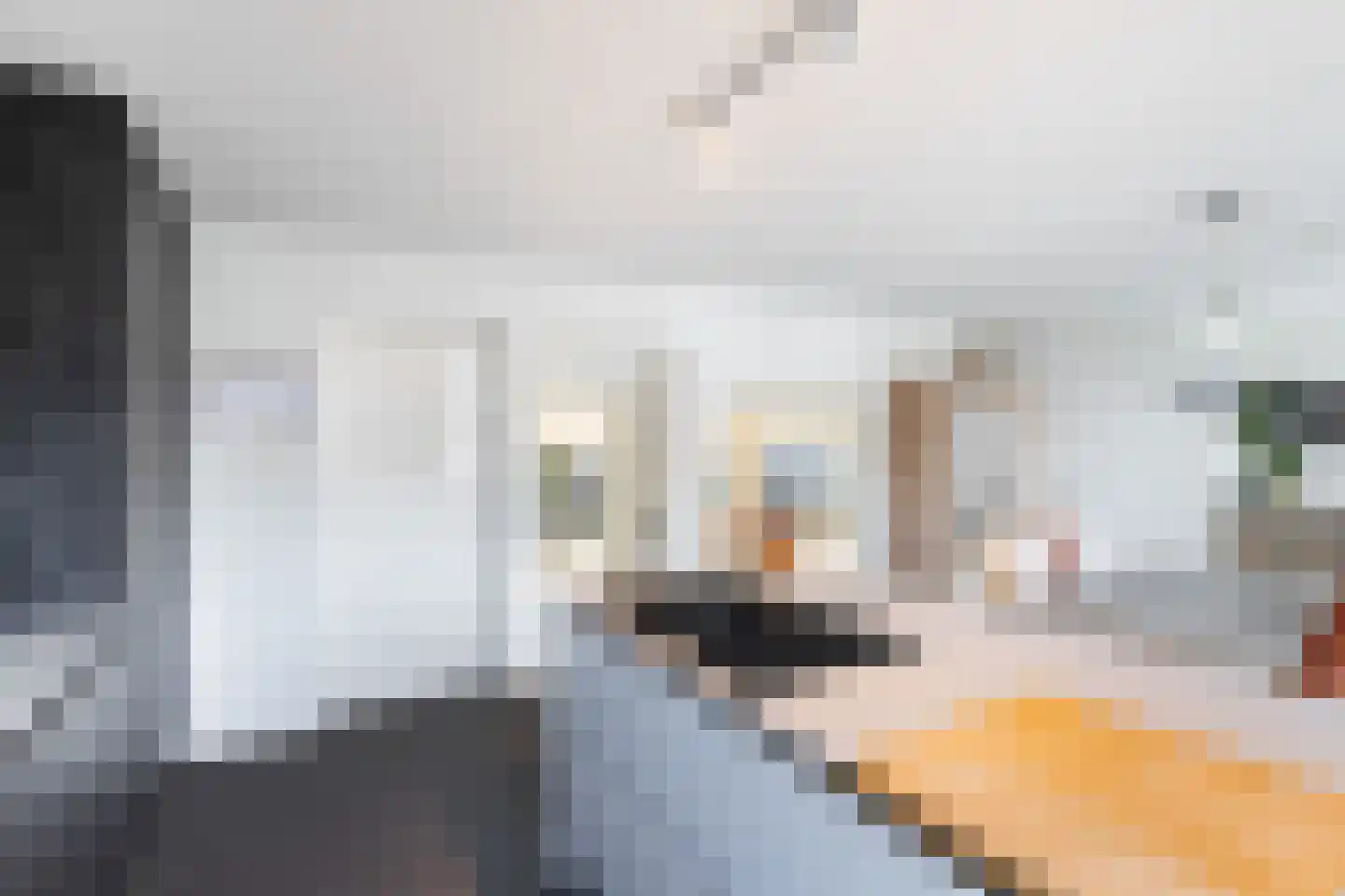 Vlasweel 72 Terheijden thumbnail 30