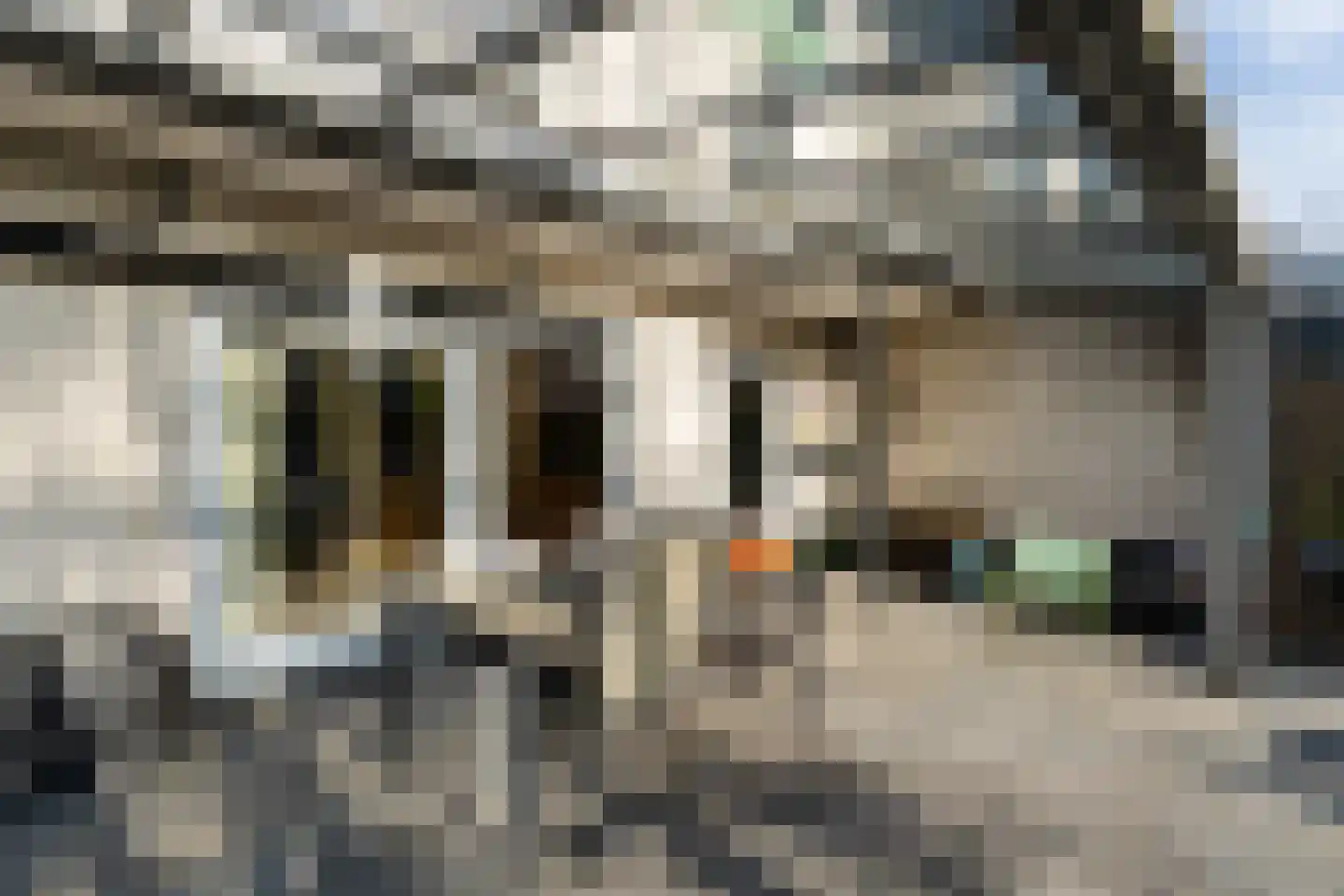 Vlasweel 72 Terheijden thumbnail 33