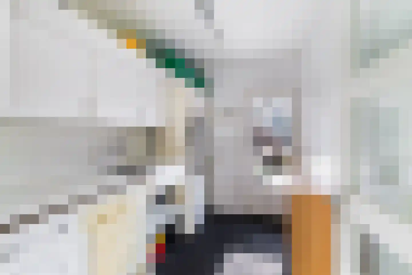 Vlasweel 72 Terheijden thumbnail 37