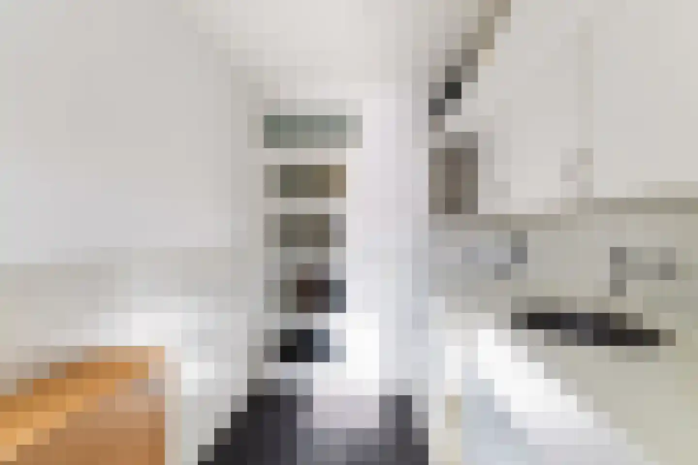 Vlasweel 72 Terheijden thumbnail 38