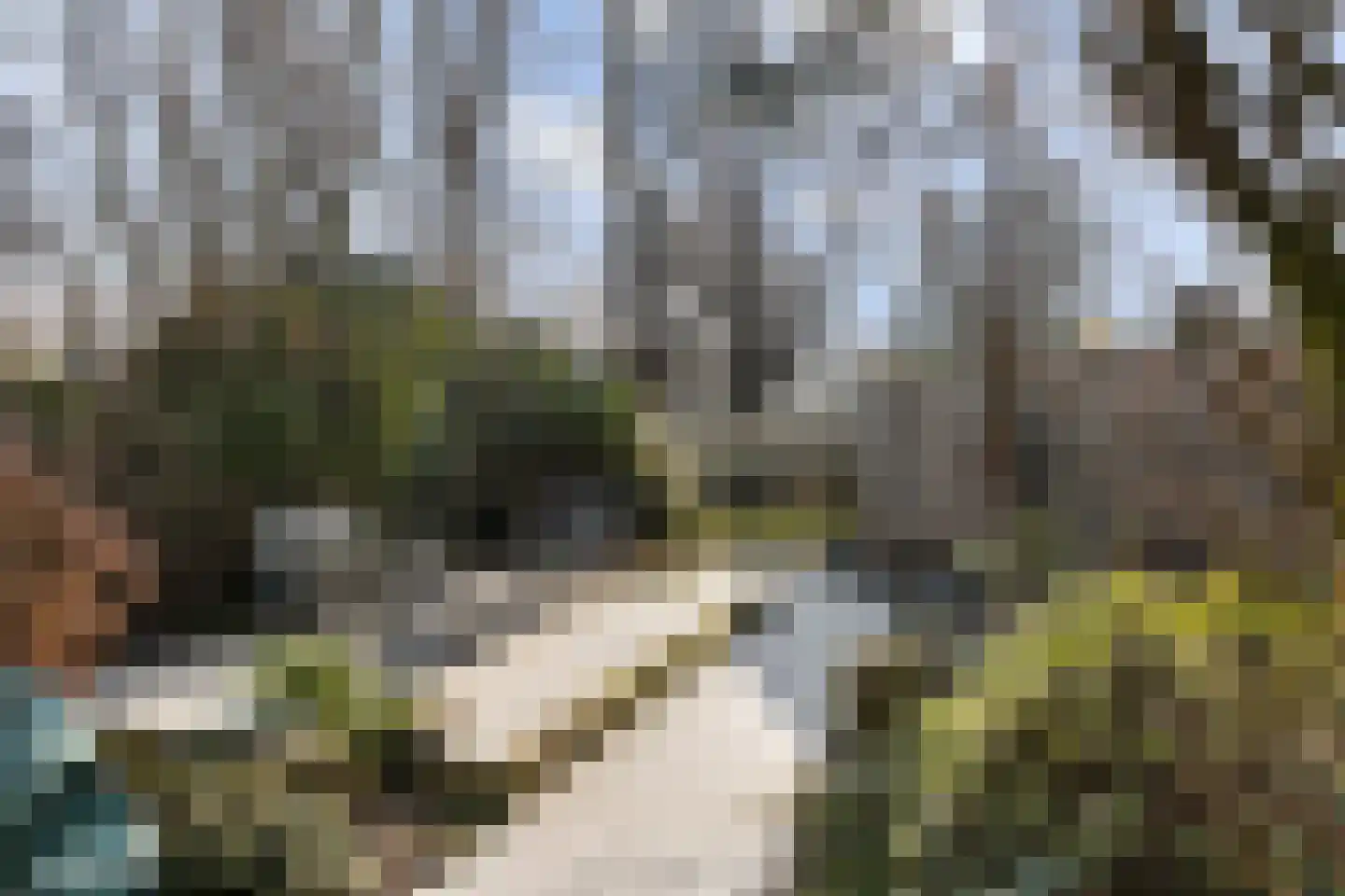 Vlasweel 72 Terheijden thumbnail 4