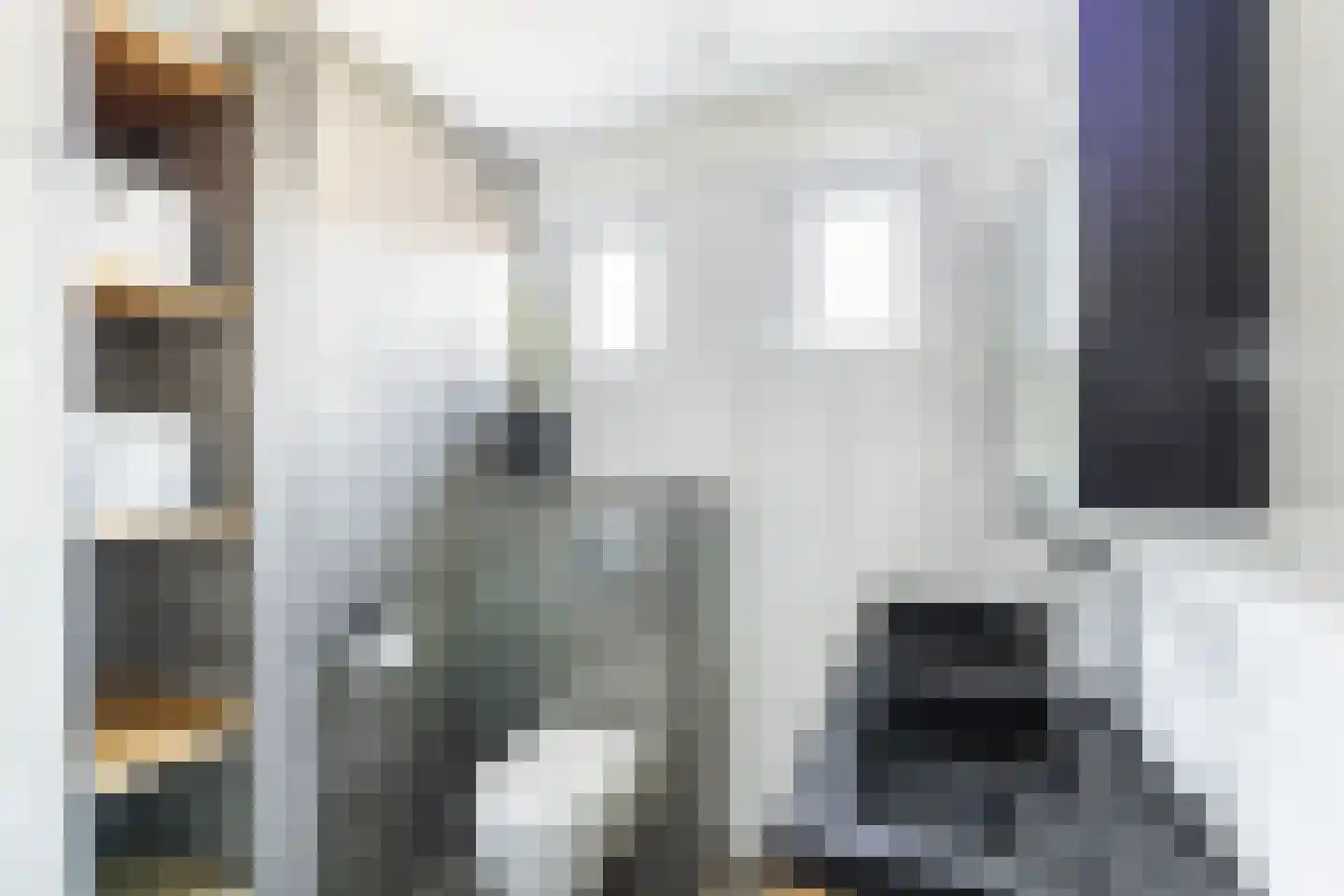 Vlasweel 72 Terheijden thumbnail 45