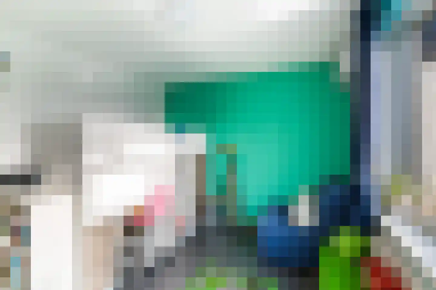 Vlasweel 72 Terheijden thumbnail 49