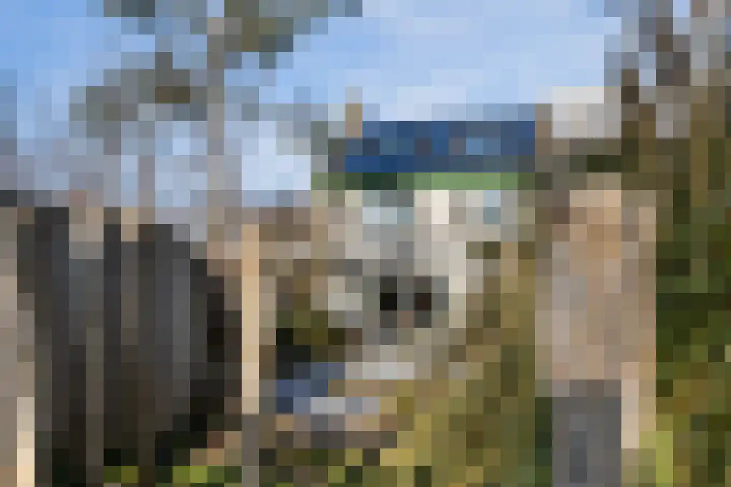 Vlasweel 72 Terheijden thumbnail 5