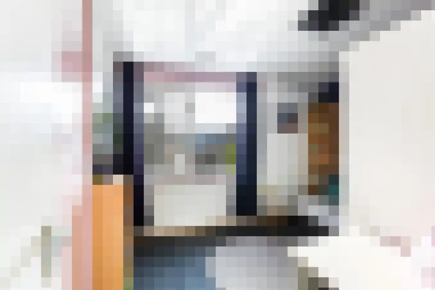 Vlasweel 72 Terheijden thumbnail 51