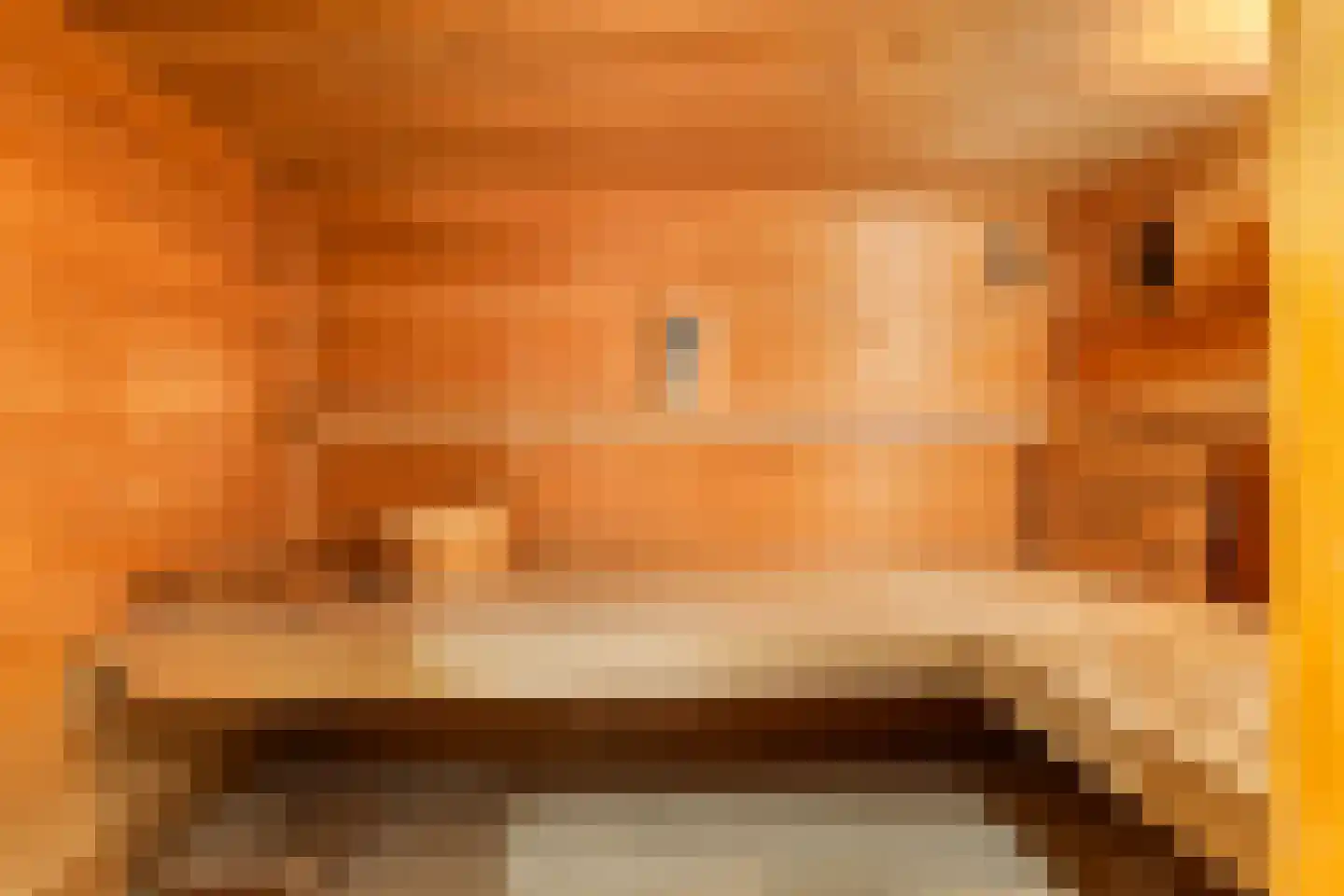 Vlasweel 72 Terheijden thumbnail 55