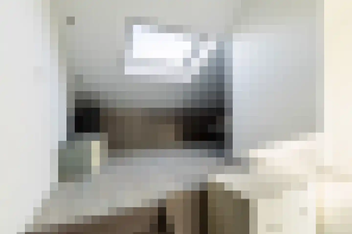 Vlasweel 72 Terheijden thumbnail 61