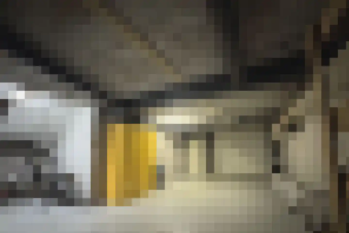 Vlasweel 72 Terheijden thumbnail 69