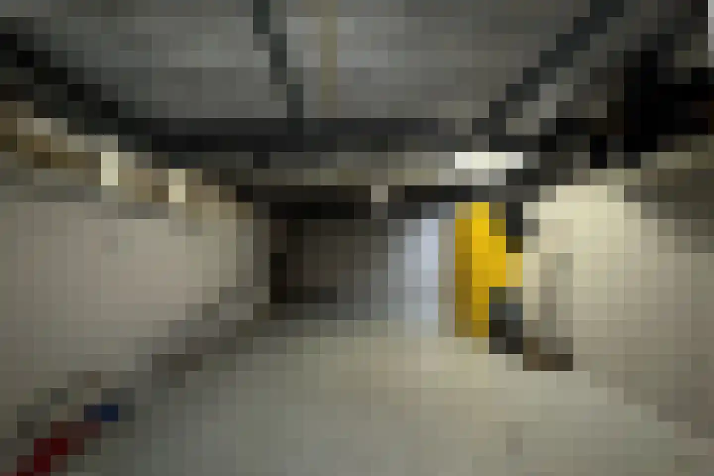 Vlasweel 72 Terheijden thumbnail 70