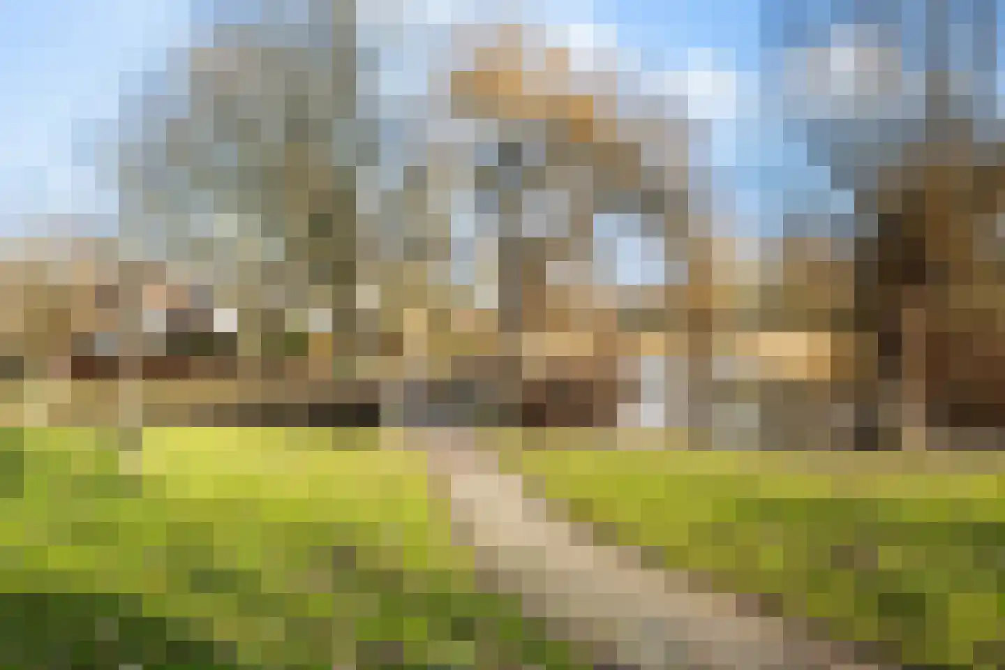 Vlasweel 72 Terheijden thumbnail 74