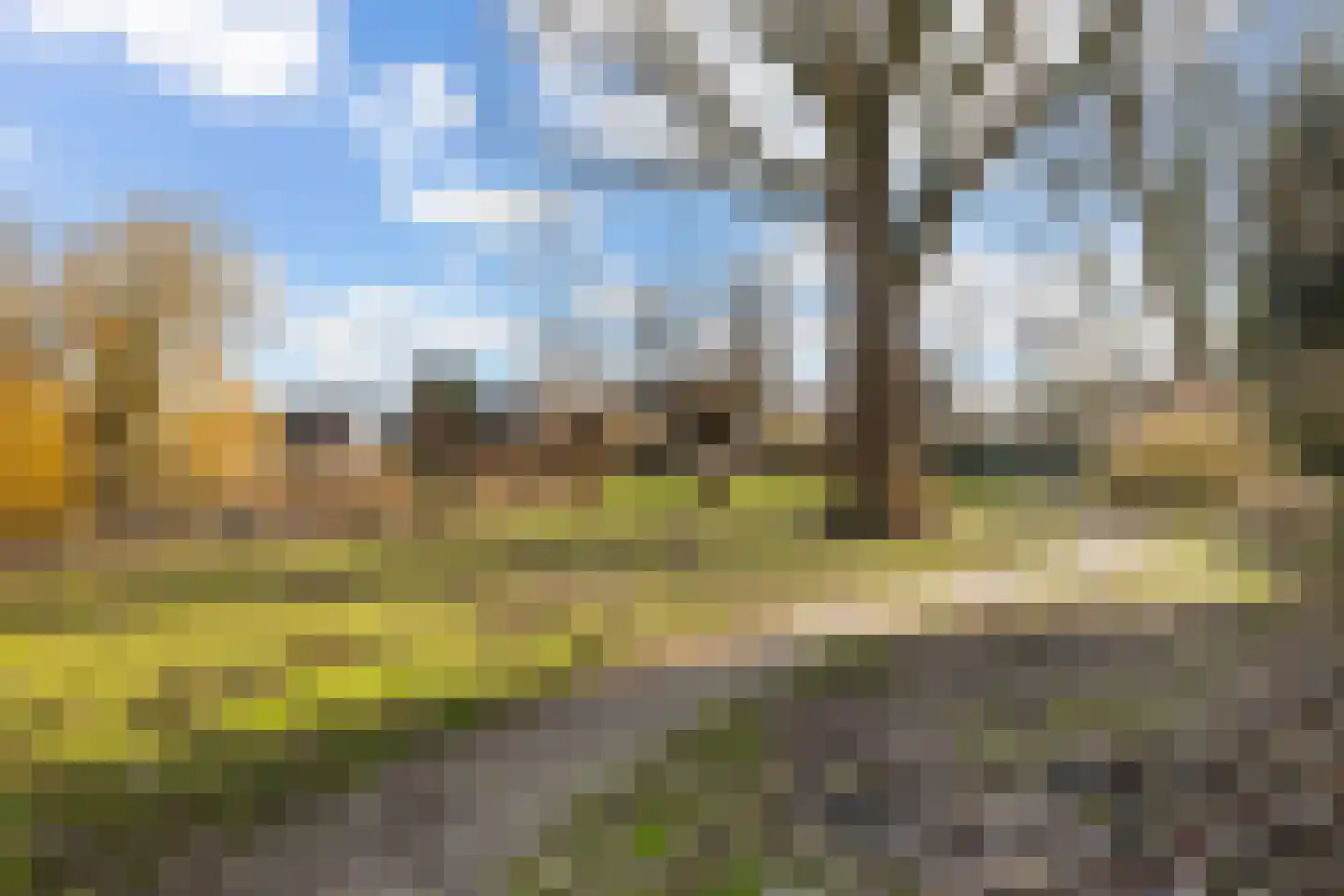 Vlasweel 72 Terheijden thumbnail 75