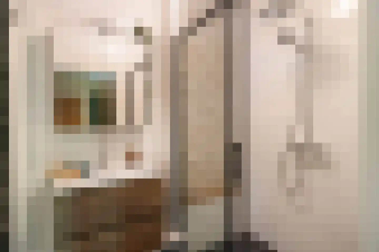 Vlasweg 3 Swolgen thumbnail 15