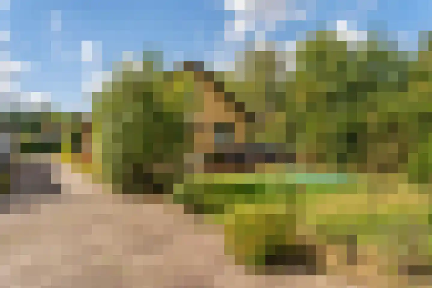 Vlasweg 3 Swolgen thumbnail 16