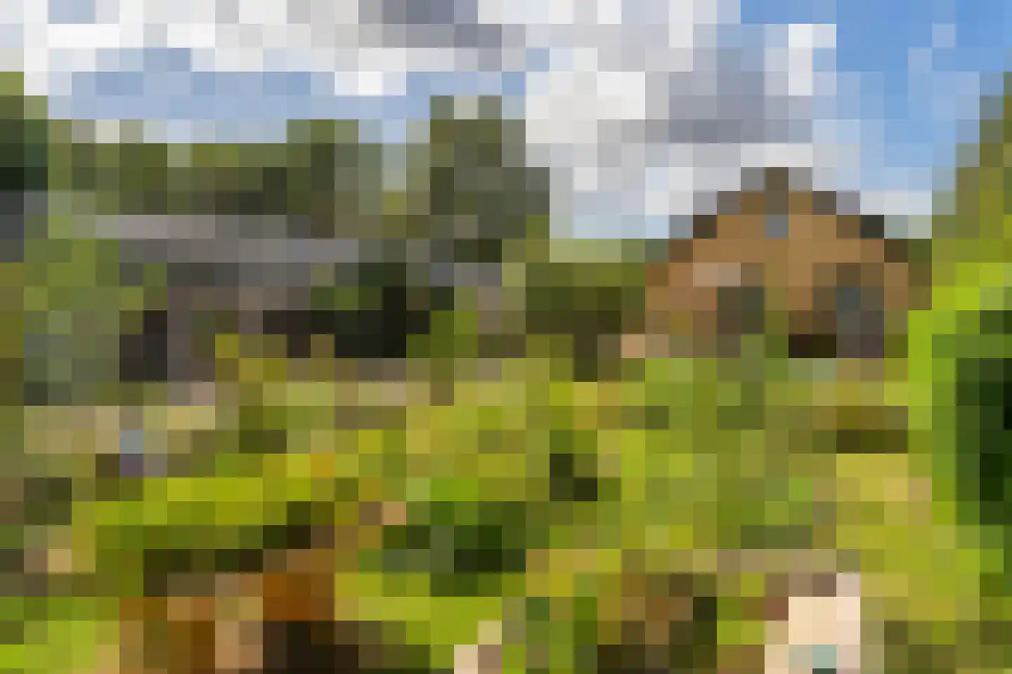 Vlasweg 3 Swolgen thumbnail 17