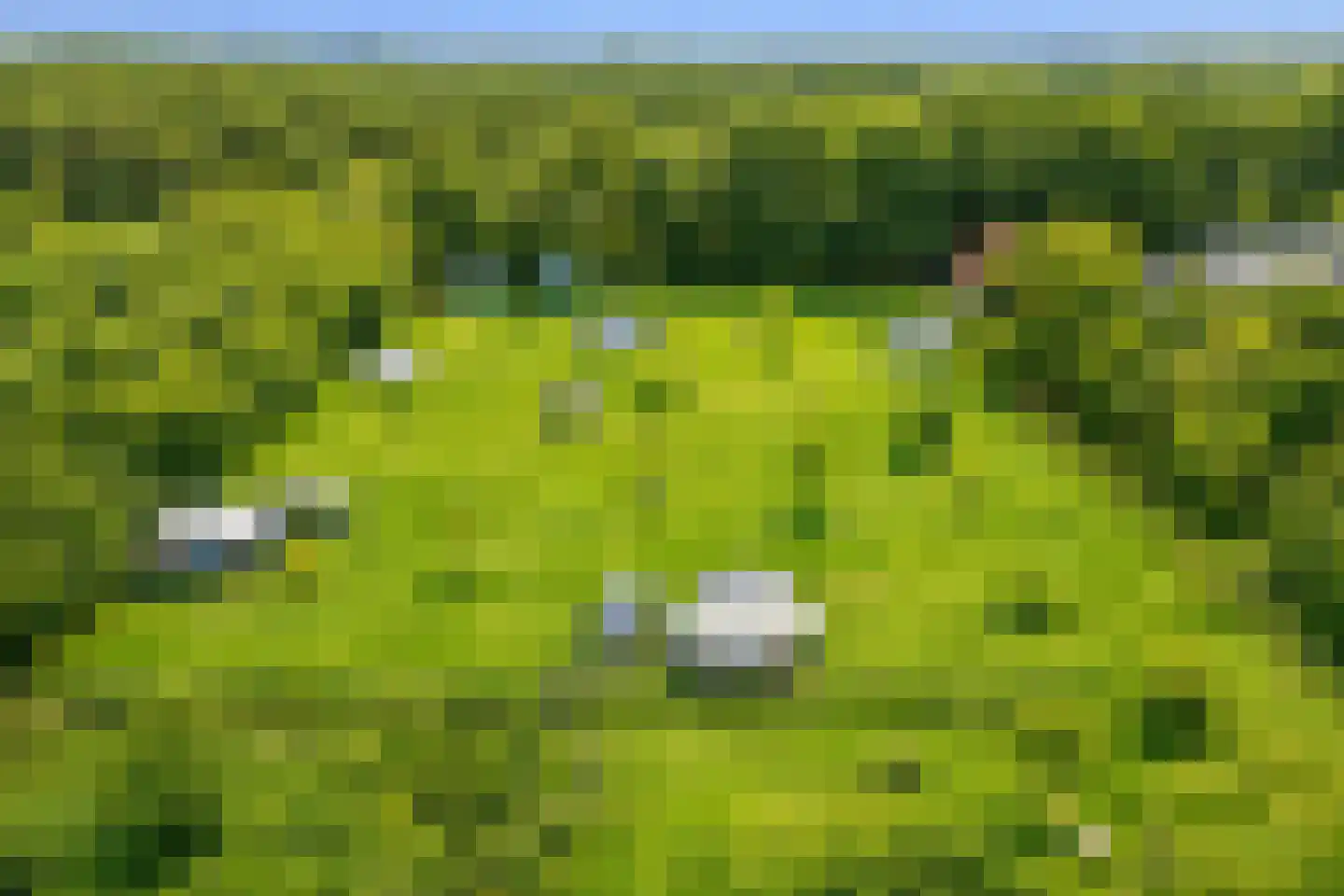 Vlasweg 3 Swolgen thumbnail 24