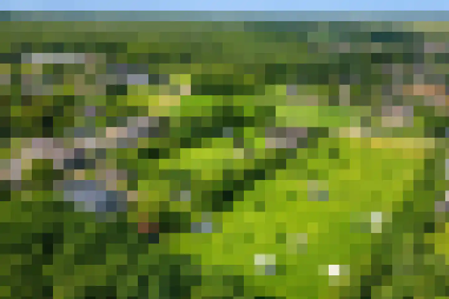 Vlasweg 3 Swolgen thumbnail 25