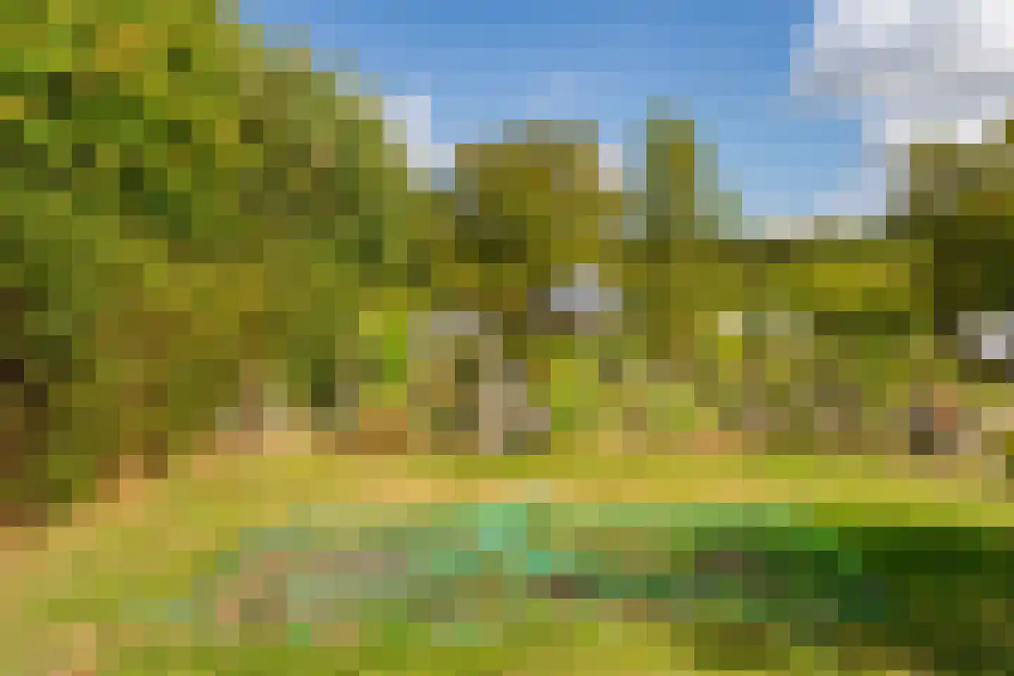 Vlasweg 3 Swolgen thumbnail 26