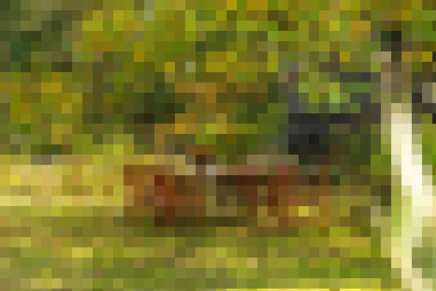 Vlasweg 3 Swolgen thumbnail 27