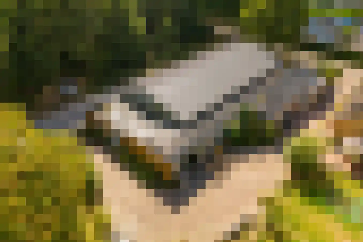 Vlasweg 3 Swolgen thumbnail 29